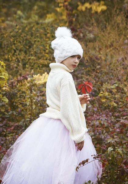 Little Ballerinas Walk Fall Park — Stock Photo, Image