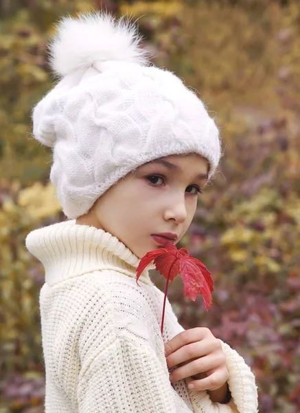 Μικρή Πριγκίπισσα Μια Βόλτα Στο Πάρκο Φθινόπωρο — Φωτογραφία Αρχείου