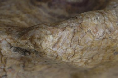 Parkta sonbahar dokuları