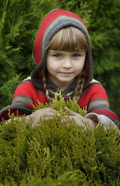 Fetiță Pentru Plimbare Într Parc Toamnă Flori Frunze Galbene — Fotografie, imagine de stoc