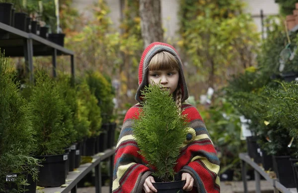 Uma Menina Para Passeio Parque Outono Com Flores Folhas Amarelas — Fotografia de Stock