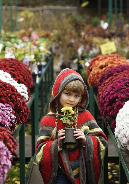 Fetiță Pentru Plimbare Într Parc Toamnă Flori Frunze Galbene — Fotografie, imagine de stoc