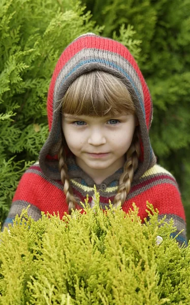 Маленька Дівчинка Прогулянки Осінньому Парку Квітами Жовтими Листками — стокове фото