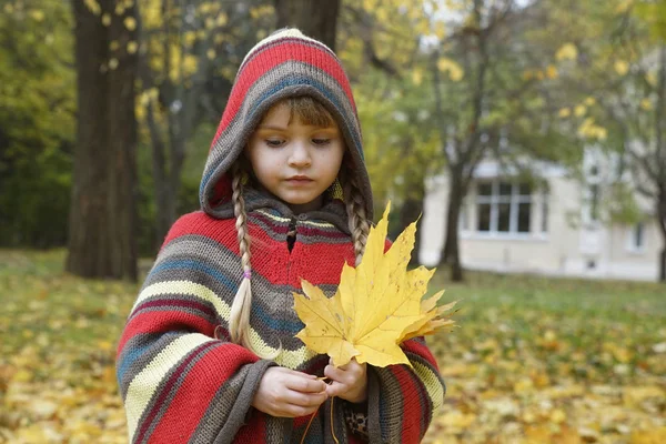 Uma Menina Para Passeio Parque Outono Com Flores Folhas Amarelas — Fotografia de Stock