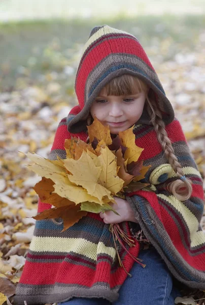 Uma Menina Para Passeio Parque Outono Com Flores Folhas Amarelas — Fotografia de Stock