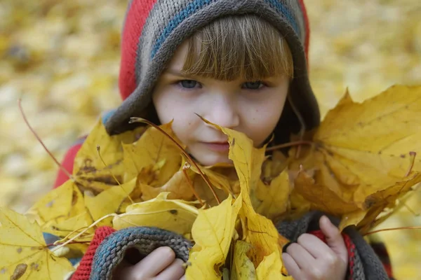 Uma Menina Para Passeio Parque Outono Com Flores Folhas Amarelas — Fotografia de Stock