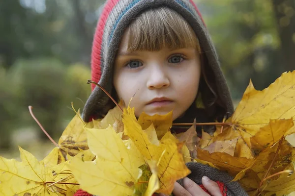 Een Klein Meisje Voor Een Wandeling Een Herfstpark Met Bloemen — Stockfoto