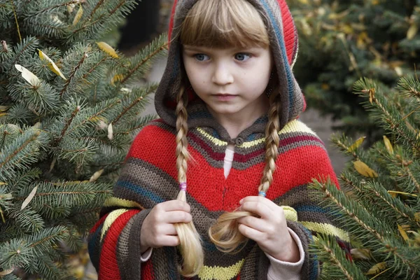 Ένα Μικρό Κορίτσι Για Μια Βόλτα Ένα Πάρκο Φθινόπωρο Λουλούδια — Φωτογραφία Αρχείου