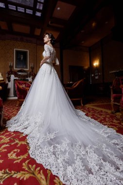 Genç Moda arka plan üzerinde pozlar dantel ile büyüleyici uzun gelin elbise modeli