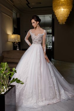 Çekici arka plan üzerinde dantel ile ciddi genç esmer modeli kadın teşkil etmektedir uzun gelin elbise