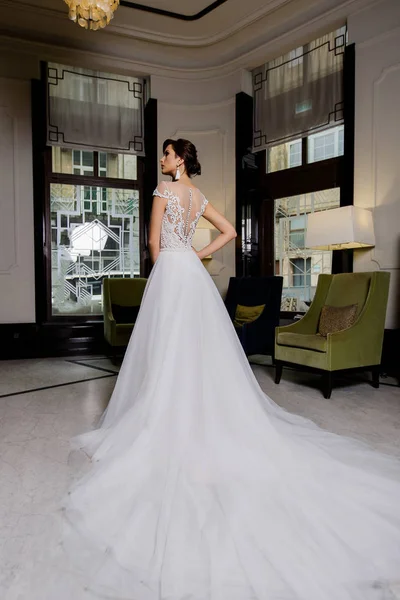 Ernsthafte junge Brünette Modell weiblich posiert in langen Brautkleid mit Spitze auf Modehintergrund — Stockfoto