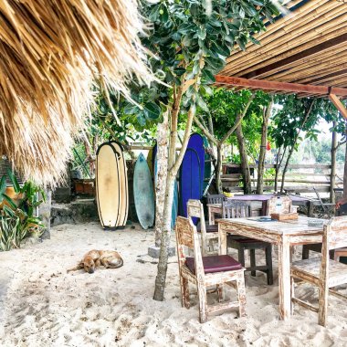 Renkli sörf tahtaları ve Restoran Bali, Endonezya arkasında uyuyan köpek