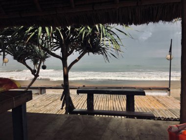 Palmiye ve Bal içinde Okyanusu kıyısında ahşap yüzey bankta