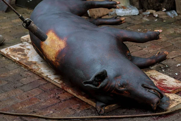Sacrificio de cerdo y depilación por fuego . — Foto de Stock