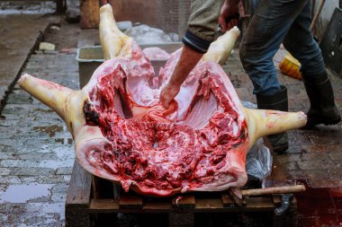 Köyde domuz kesen çiftçi.