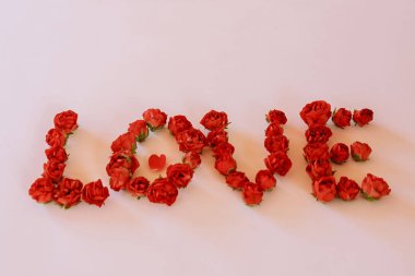 Beyaz arka planda kırmızı güllerle yazılmış aşk kelimesi. Sevgililer Günü için mükemmel..