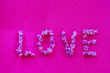 Aşk kelimesi pembe arka planda lavanta çiçekleriyle yazılır. Sevgililer Günü.