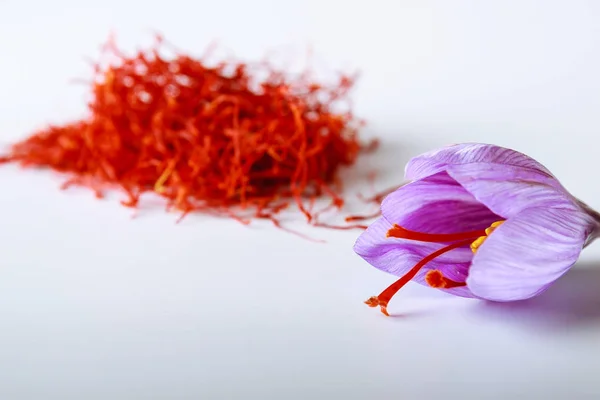 Świeży kwiat szafranu na tle wysuszonego szafranu na białym stole. — Zdjęcie stockowe