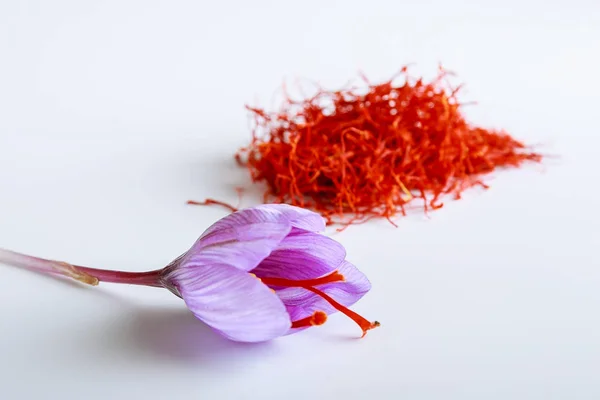 Flor de açafrão fresca em um contexto de açafrão seco em uma mesa branca . — Fotografia de Stock