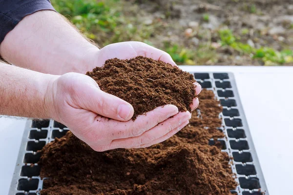 Eine Handvoll fruchtbares Land in den Händen des Bauern. Samen aussäen. Sämlinge wachsen. — Stockfoto