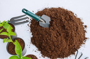 Plastik bir tencerede tatlı Paprika fideleri ve beyaz arka planda bereketli bir toprak yığını.