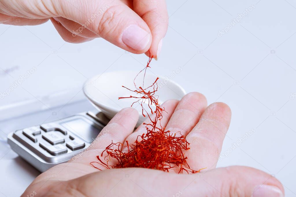 Weighing saffron threads on a digital jewelry scale on a white background