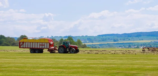 Een rode trekker harkt droog gras en plaatst hooi voor laden en vervoeren. — Stockfoto