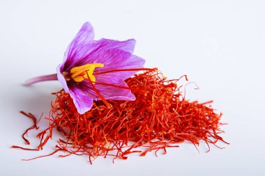 Fresh saffron flower on a pile of saffron threads on a white background. clipart