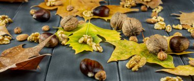 Güz yaprakları ya da fındıklı, fındıklı, fındıklı ve bademli gri tahta üzerinde çeşitli renkler