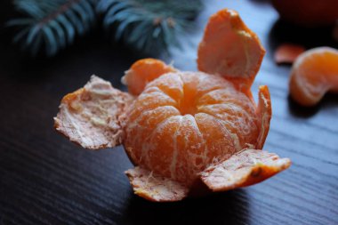 Taze soyulmuş mandalina ya da portakal meyvesi Noel ağacı dallı masanın üstünde.