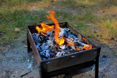 Yakacak odun brazier 'da yanıyor. Kebap, şiş kebap, şiş kebap, barbekü hazırlıkları. Şenlik ateşi, yakın
