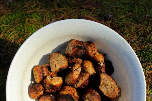 Hjemmelaget Deilig Grillet Shish Kebab Shashlik Lukk – stockfoto