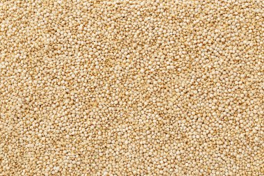 Quinoa closeup arka plan