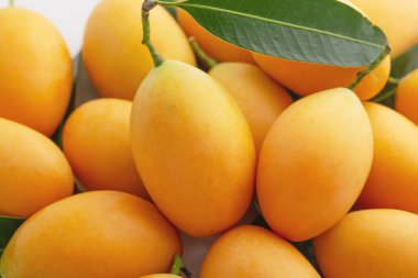 Marian eriği, mayonez ya da plango yakın plan.