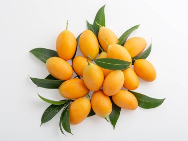 Beyaz arka planda yeşil yapraklı erik ya da erik mangosu.