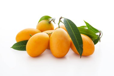 Beyaz arka planda yeşil yapraklı Marian eriği ya da erik mangosu