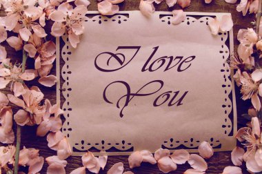 Kartpostal bir tahta üzerinde şeftali çiçekleri ile