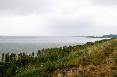 Denizde yağmurlu bir hava var, yeşil çimenli kıyı şeridi görünür.