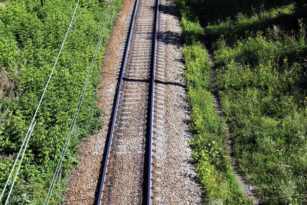 Yazın ormandan geçen tren istasyonları 