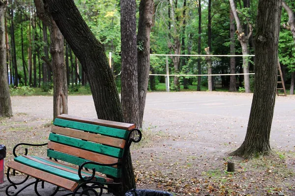 Sonbahar güzel bahçesinde renkli bir bank.