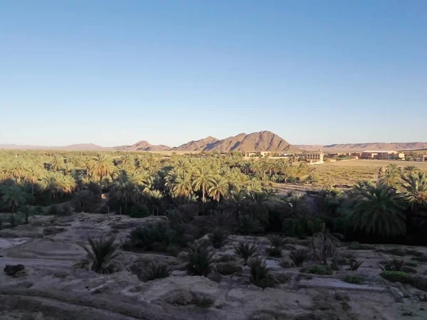 A view from above of the mountain and the palm trees plantation in the oasis of Figuig in Morocco