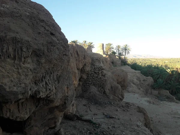 Talus 'taki eski bir kule ve Fas' taki Figuig vahasındaki palmiye ağaçları.
