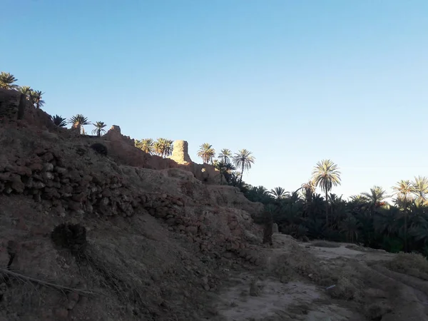 Una Antigua Torre Vigilancia Talo Palmeras Oasis Figuig Marruecos — Foto de Stock