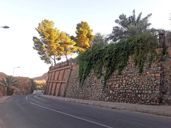 Een Weg Oase Van Figuig Marokko Naar Beneden Naar Palmbomen — Stockfoto
