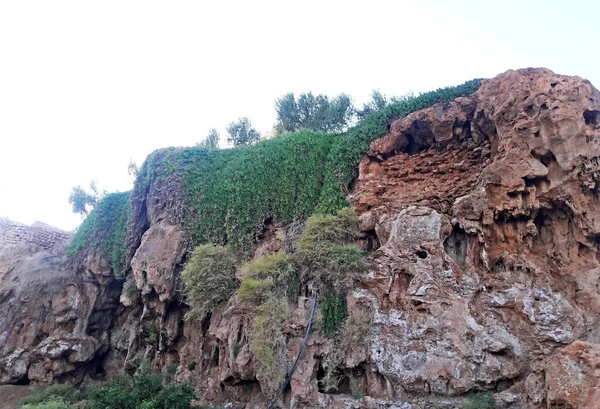 Bir talus, ağaçlar ve Fas 'taki Figuig vahasında bir yol.