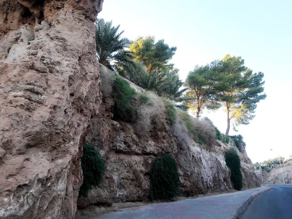 Fas 'taki Figuig vahasında Talus' tan geçen bir yol. 