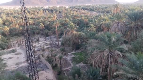 Dolina Palm Góra Oazie Figuig Wschodniej Części Maroka Widziane Góry — Wideo stockowe