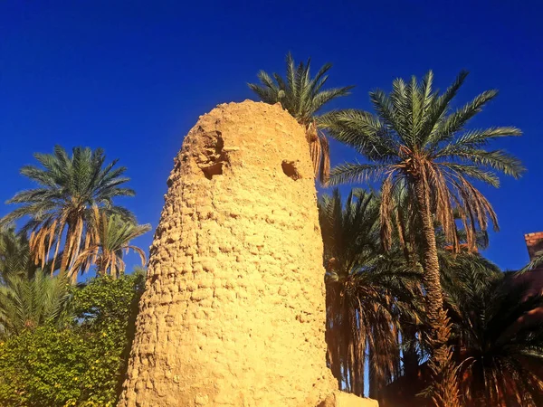 Ancient Surveillance Tower Palm Trees Plantation Oasis Figuig Morocco — 스톡 사진