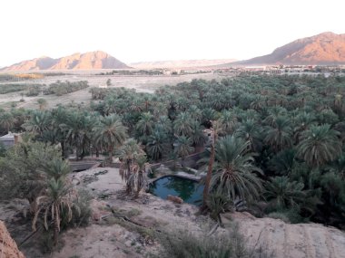 Fas 'ın Figuig kentindeki palmiye ağaçları vadisinde geleneksel bir sulama suyu deposu. 