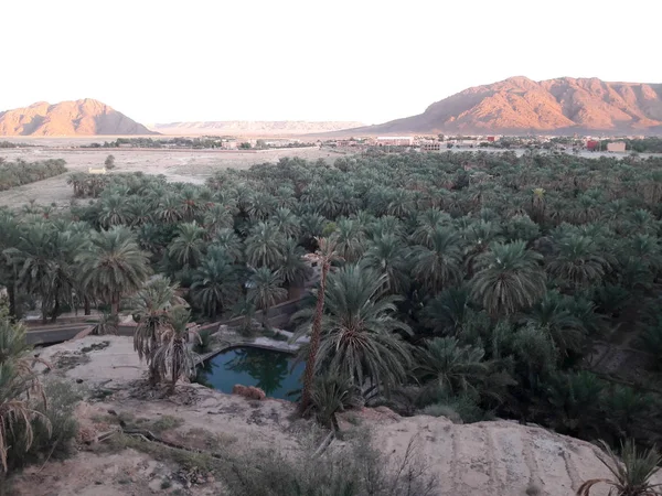 Traditionell Bevattningsvattenreservoar Palmträdens Dal Figuig Marocko — Stockfoto